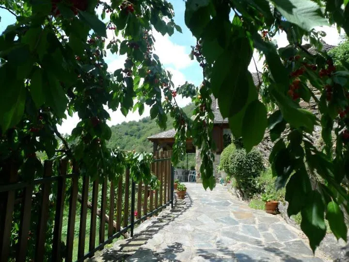 Le Four Villa Vieillevie Holiday home